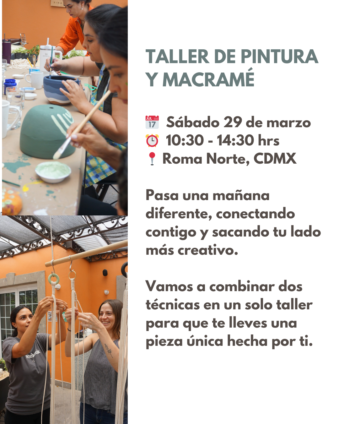 PAINT & MACRAMÉ - Taller pinta tu maceta + macetero de macramé + plantita